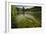 River Grass Sways Underwater In The Crystal Clear Una River In Bosnia Herzegovina-Karine Aigner-Framed Photographic Print