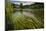 River Grass Sways Underwater In The Crystal Clear Una River In Bosnia Herzegovina-Karine Aigner-Mounted Photographic Print