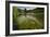 River Grass Sways Underwater In The Crystal Clear Una River In Bosnia Herzegovina-Karine Aigner-Framed Photographic Print