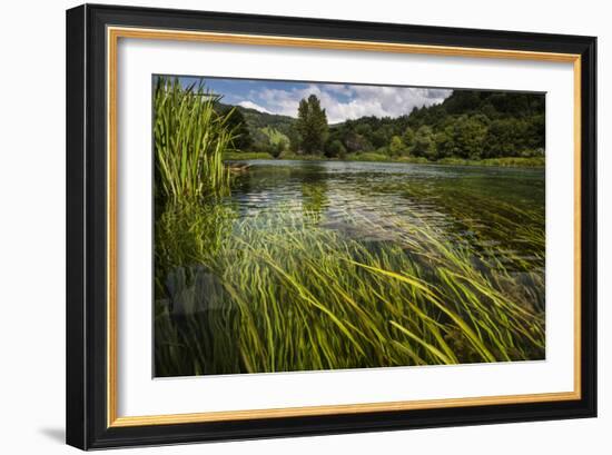 River Grass Sways Underwater In The Crystal Clear Una River In Bosnia Herzegovina-Karine Aigner-Framed Photographic Print