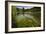 River Grass Sways Underwater In The Crystal Clear Una River In Bosnia Herzegovina-Karine Aigner-Framed Photographic Print