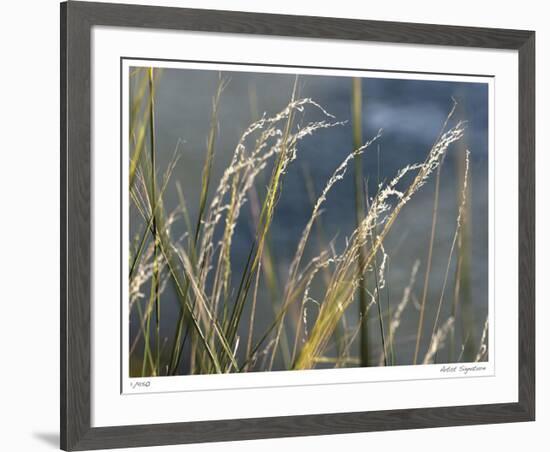 River Grasses I-Joy Doherty-Framed Giclee Print