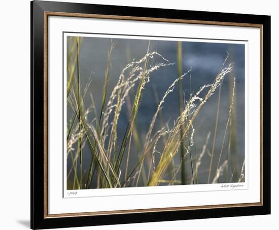 River Grasses I-Joy Doherty-Framed Giclee Print