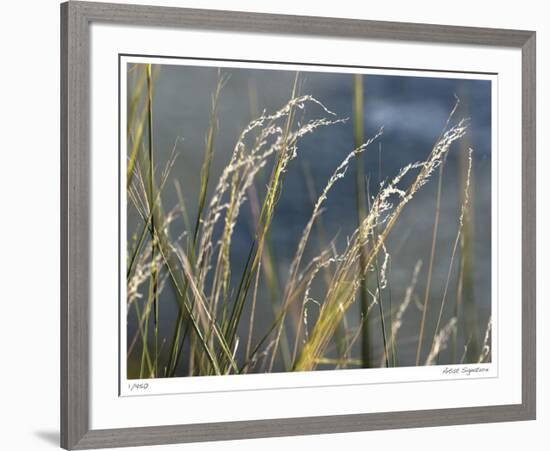 River Grasses I-Joy Doherty-Framed Giclee Print