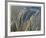 River Grasses I-Joy Doherty-Framed Giclee Print