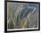 River Grasses I-Joy Doherty-Framed Giclee Print