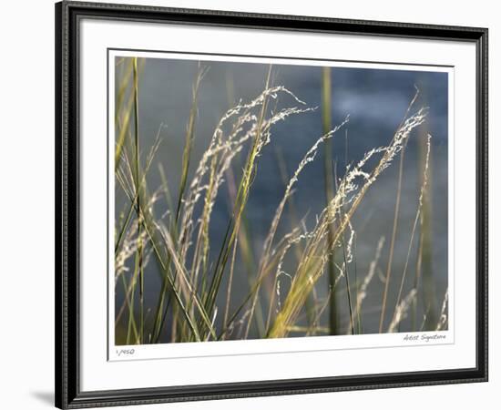 River Grasses I-Joy Doherty-Framed Giclee Print