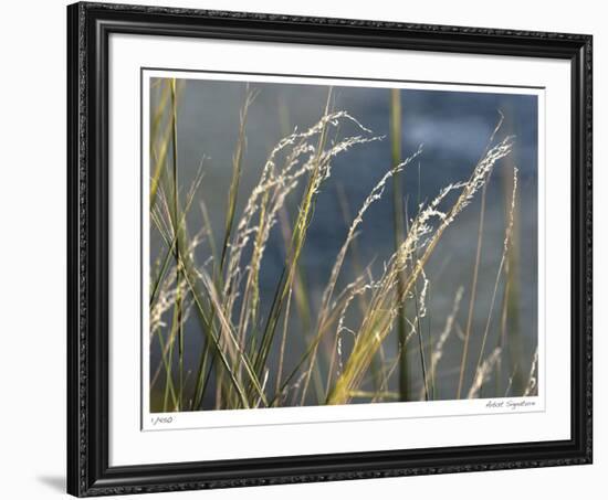 River Grasses I-Joy Doherty-Framed Giclee Print