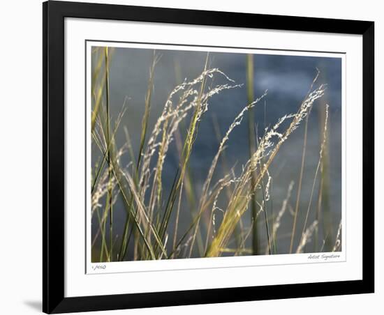 River Grasses I-Joy Doherty-Framed Giclee Print