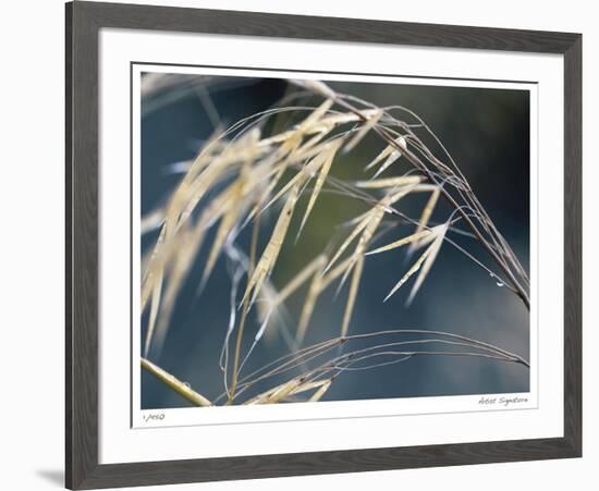 River Grasses II-Joy Doherty-Framed Giclee Print