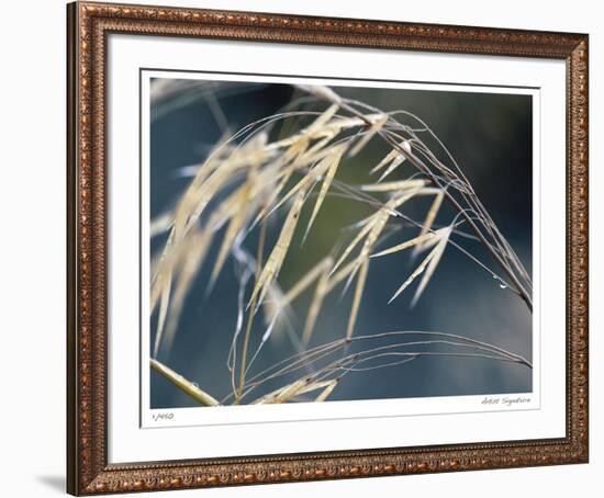 River Grasses II-Joy Doherty-Framed Giclee Print