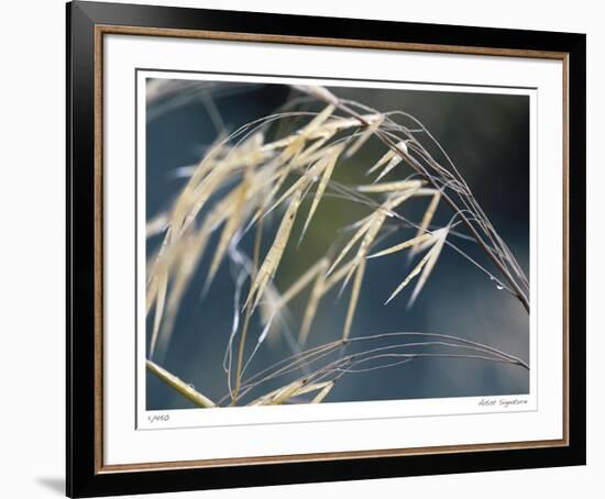 River Grasses II-Joy Doherty-Framed Giclee Print