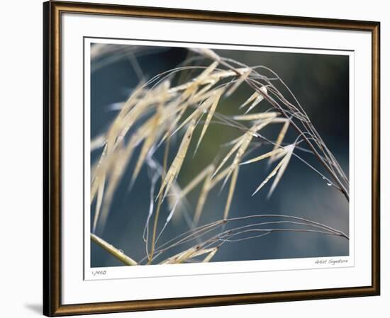 River Grasses II-Joy Doherty-Framed Giclee Print