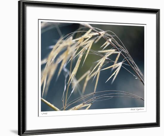 River Grasses II-Joy Doherty-Framed Giclee Print