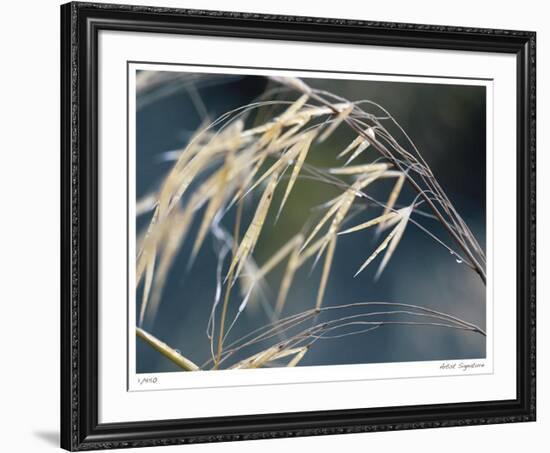 River Grasses II-Joy Doherty-Framed Giclee Print