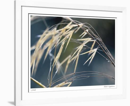 River Grasses II-Joy Doherty-Framed Giclee Print