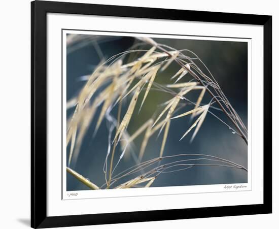 River Grasses II-Joy Doherty-Framed Giclee Print