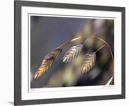 River Grasses III-Joy Doherty-Framed Giclee Print