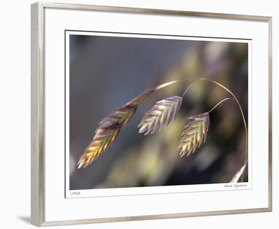 River Grasses III-Joy Doherty-Framed Giclee Print