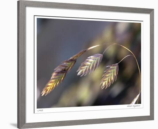 River Grasses III-Joy Doherty-Framed Giclee Print