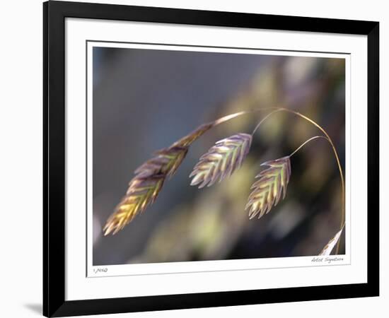 River Grasses III-Joy Doherty-Framed Giclee Print