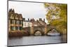 River Great Ouse at St. Leger Chapel Bridge, St. Ives, Cambridgeshire, England, United Kingdom, Eur-Andrew Michael-Mounted Photographic Print
