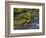 River Grosse Ohe in the Bavarian Forest National Park near Sankt Oswald, Germany, Bavaria.-Martin Zwick-Framed Photographic Print