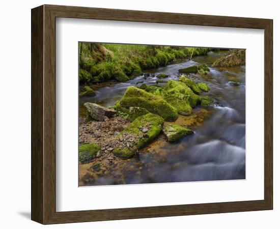 River Grosse Ohe in the Bavarian Forest National Park near Sankt Oswald, Germany, Bavaria.-Martin Zwick-Framed Photographic Print