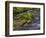 River Grosse Ohe in the Bavarian Forest National Park near Sankt Oswald, Germany, Bavaria.-Martin Zwick-Framed Photographic Print