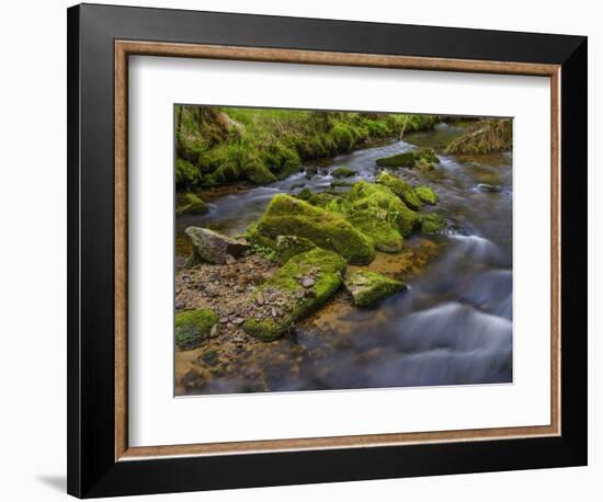 River Grosse Ohe in the Bavarian Forest National Park near Sankt Oswald, Germany, Bavaria.-Martin Zwick-Framed Photographic Print