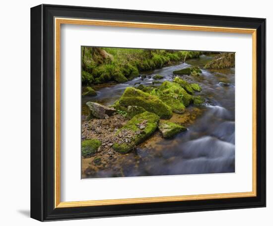 River Grosse Ohe in the Bavarian Forest National Park near Sankt Oswald, Germany, Bavaria.-Martin Zwick-Framed Photographic Print