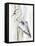 River Heron II-Eva Watts-Framed Stretched Canvas