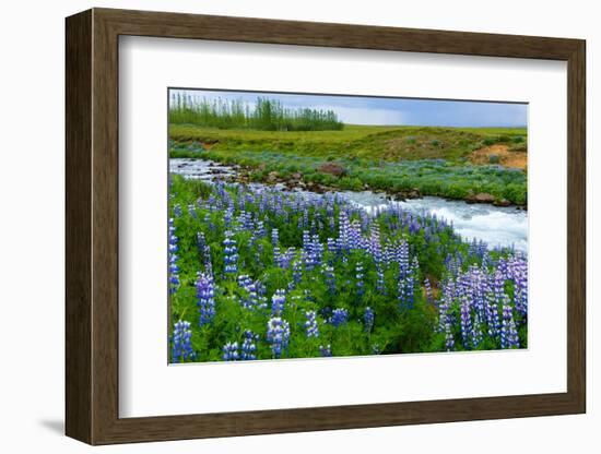 River Hvita Near Laugaras-Catharina Lux-Framed Photographic Print