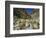 River in the Khyber Pass, Afghanistan-Christina Gascoigne-Framed Photographic Print