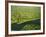 River in Tortuguero National Park, Costa Rica, Central America-R H Productions-Framed Photographic Print