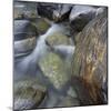 River in Verzasca Valley-Micha Pawlitzki-Mounted Photographic Print