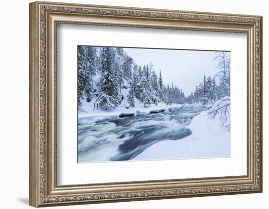 River, Juuma, Oulankajoki National Park, Kuusamo, Finland-Peter Adams-Framed Photographic Print