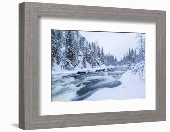 River, Juuma, Oulankajoki National Park, Kuusamo, Finland-Peter Adams-Framed Photographic Print