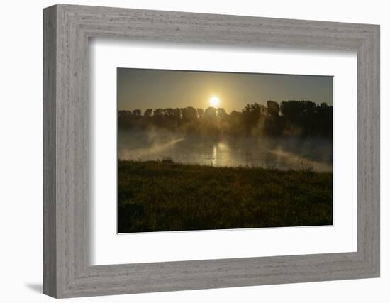 River Landscape, the Rhine, Fog Mood, Sunrise, Speyer, Rhineland-Palatinate, Germany-Ronald Wittek-Framed Photographic Print