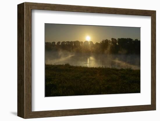 River Landscape, the Rhine, Fog Mood, Sunrise, Speyer, Rhineland-Palatinate, Germany-Ronald Wittek-Framed Photographic Print