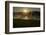 River Landscape, the Rhine, Fog Mood, Sunrise, Speyer, Rhineland-Palatinate, Germany-Ronald Wittek-Framed Photographic Print