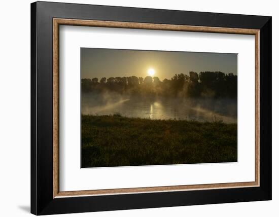 River Landscape, the Rhine, Fog Mood, Sunrise, Speyer, Rhineland-Palatinate, Germany-Ronald Wittek-Framed Photographic Print