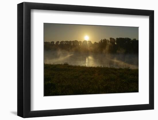 River Landscape, the Rhine, Fog Mood, Sunrise, Speyer, Rhineland-Palatinate, Germany-Ronald Wittek-Framed Photographic Print