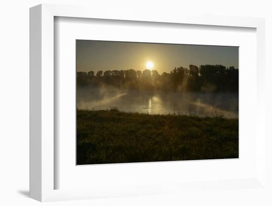 River Landscape, the Rhine, Fog Mood, Sunrise, Speyer, Rhineland-Palatinate, Germany-Ronald Wittek-Framed Photographic Print