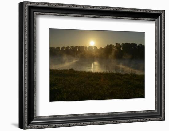 River Landscape, the Rhine, Fog Mood, Sunrise, Speyer, Rhineland-Palatinate, Germany-Ronald Wittek-Framed Photographic Print