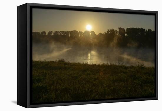 River Landscape, the Rhine, Fog Mood, Sunrise, Speyer, Rhineland-Palatinate, Germany-Ronald Wittek-Framed Premier Image Canvas