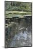 River Landscape with Water Lilies-Julia Beck-Mounted Premium Giclee Print