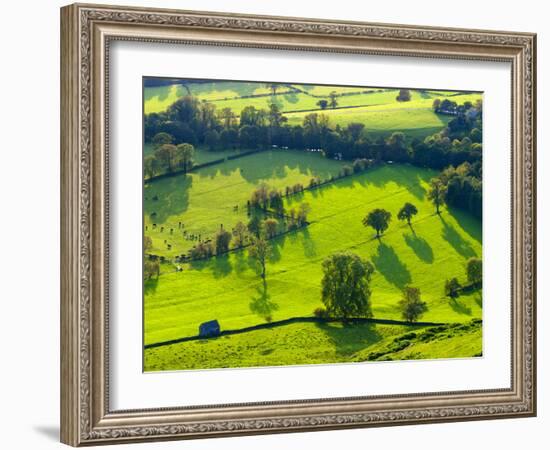 River Manifold Valley Near Ilam, Peak District National Park, Derbyshire, England-Alan Copson-Framed Photographic Print