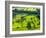 River Manifold Valley Near Ilam, Peak District National Park, Derbyshire, England-Alan Copson-Framed Photographic Print