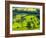 River Manifold Valley Near Ilam, Peak District National Park, Derbyshire, England-Alan Copson-Framed Photographic Print